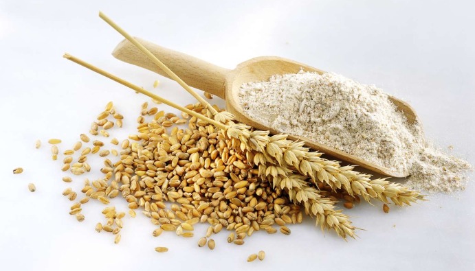 Buğday ve Un Analizleri